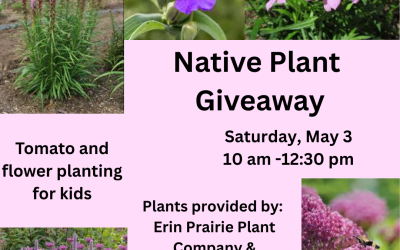 Native Plant Giveaway