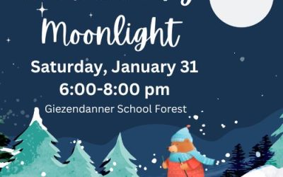 Snowshoe by Moonlight